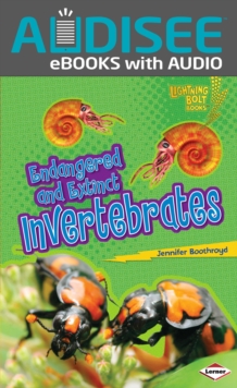 Image for Endangered and Extinct Invertebrates