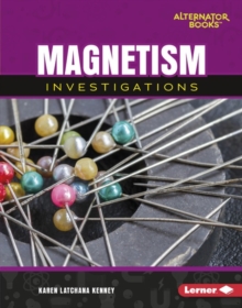 Image for Magnetism Investigations