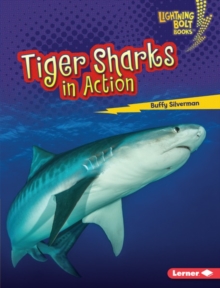 Image for Tiger Sharks in Action