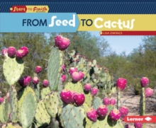 Image for From Seed to Cactus