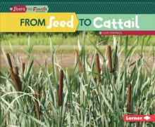 Image for From Seed to Cattail