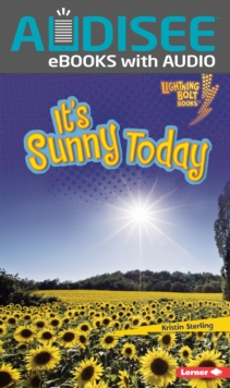 Image for It's Sunny Today