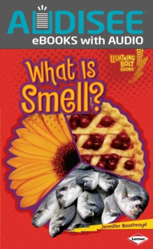 Image for What is smell?
