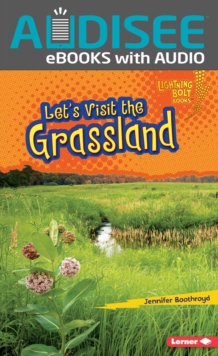 Image for Let's Visit the Grassland