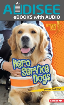 Image for Hero Service Dogs