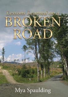 Image for Lessons Learned on a Broken Road