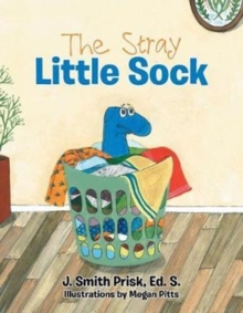Image for The Stray Little Sock