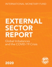 Image for External sector report : global imbalances and the COVID-19 Crisis