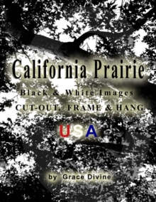 Image for California Prairie Black & White Images Cut-out, Frame & Hang USA