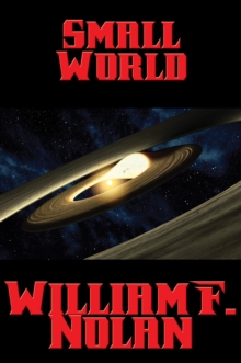 Image for Small World