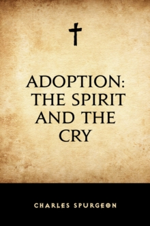 Image for Adoption: The Spirit and the Cry
