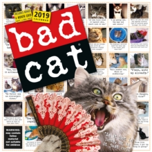 Image for 2019 Bad Cat Wall Calendar