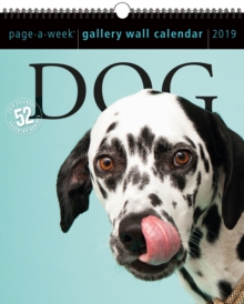 Image for 2019 Dog Gallery Wall Page-A-Week  Gallery Wall Calendar