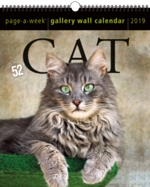 Image for 2019 Cat Gallery Wall Page-A-Week Gallery Wall Calendar