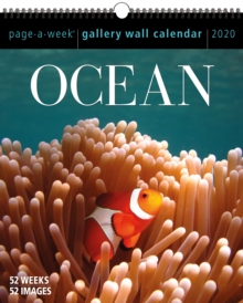 Image for 2020 Ocean Gallery Calendar