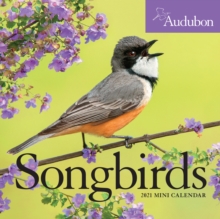 Image for 2021 Audubon Songbirds Mini Wall Calendar