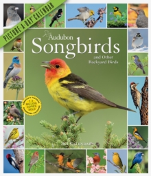Image for 2021 Audubon Songbirds and Other Backyard Birds Picture-A-Day Wall Calendar