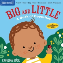 Image for Big and little  : a book of opposites