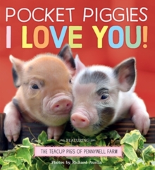 Pocket Piggies: I Love You!