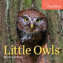Image for Audubon Little Owls Mini Wall Calendar 2023