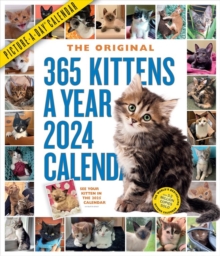 Image for 365 Kittens-A-Year Picture-A-Day Wall Calendar 2024