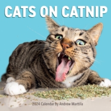 Image for Cats on Catnip Wall Calendar 2024