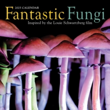 Image for Fantastic Fungi Wall Calendar 2025