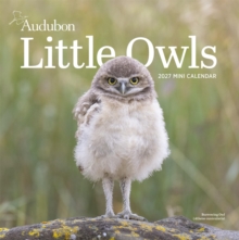Image for Audubon Little Owls Mini Wall Calendar 2027
