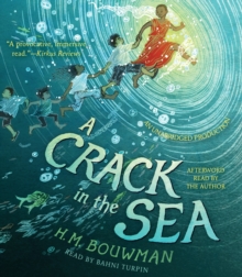 Image for A Crack In The Sea