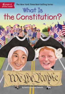 Image for What is the constitution?