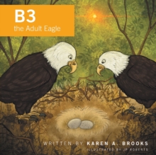 Image for B3 the Adult Eagle