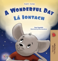 Image for A Wonderful Day (English Irish Bilingual Children's Book)