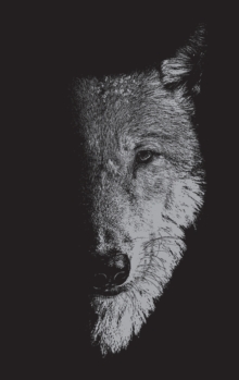 Image for In the company of wolves  : werewolves, wolves and wild children