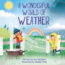Image for Look and Wonder: The Wonderful World of Weather