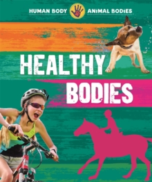 Image for Healthy bodies