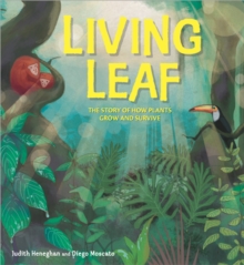Image for Living leaf