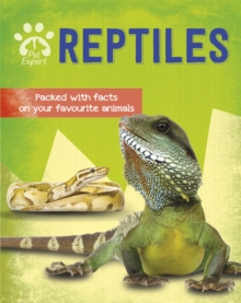 Image for Pet Expert: Reptiles