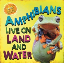 Image for Amphibians live on land and in water