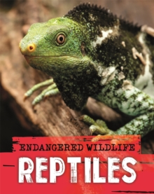 Image for Reptiles