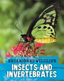 Image for Endangered Wildlife: Rescuing Insects and Invertebrates