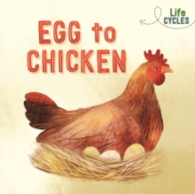 Image for Egg to chicken