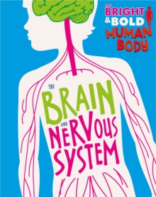 Image for The brain and nervous system