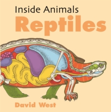 Inside Animals: Reptiles