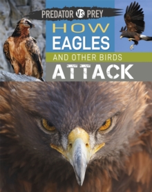 Image for Predator vs Prey: How Eagles and other Birds Attack