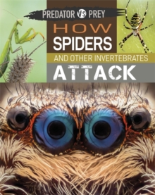 Image for Predator vs Prey: How Spiders and other Invertebrates Attack