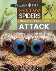 Image for How spiders and other invertebrates attack