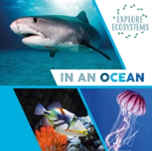 Image for Explore Ecosystems: In an Ocean
