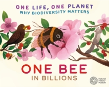 Image for One bee in billions