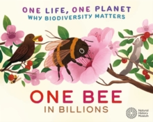 One Life, One Planet: One Bee in Billions