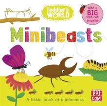 Image for Minibeasts  : a little book of minibeasts
